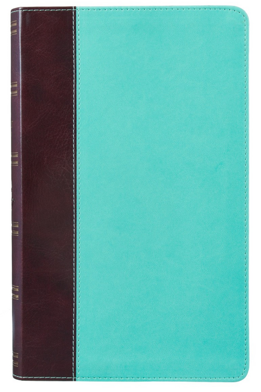 Brown and Turquoise Faux Leather Bible