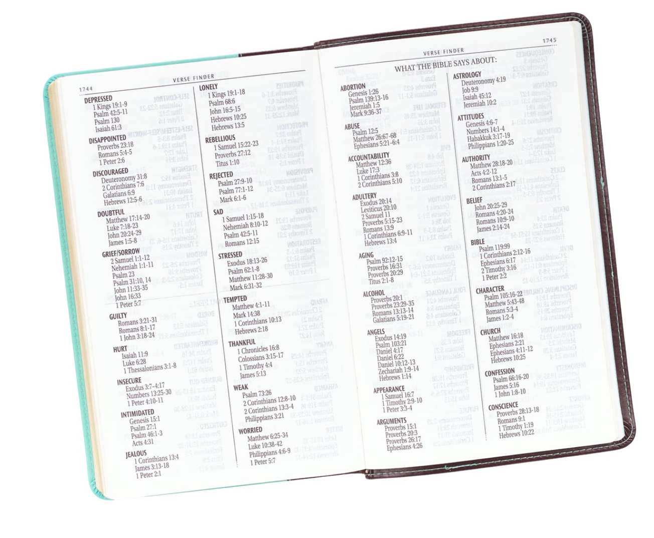 Brown and Turquoise Faux Leather Bible