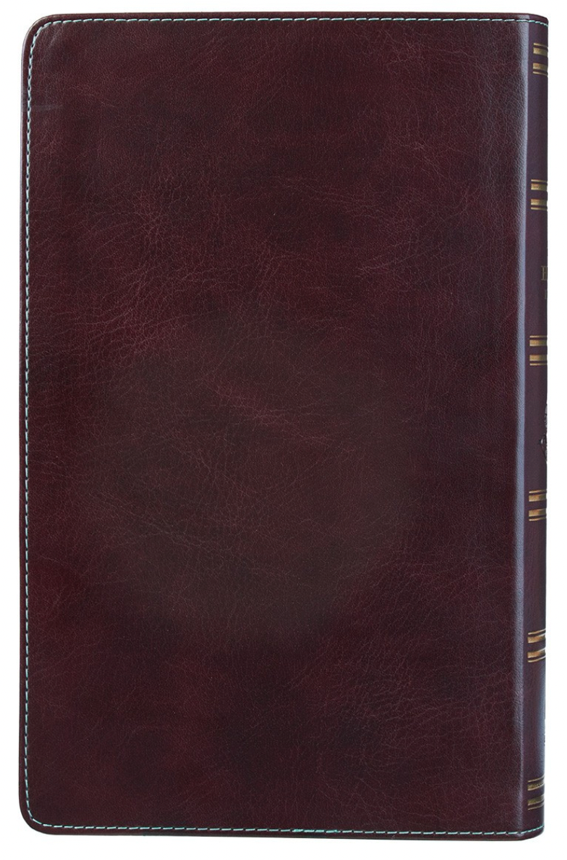 Brown and Turquoise Faux Leather Bible