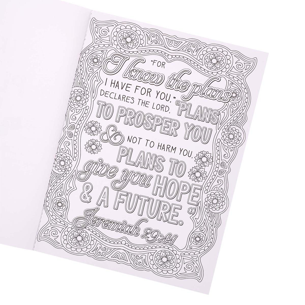 Jeremiah 29:11 Adult Coloring Book