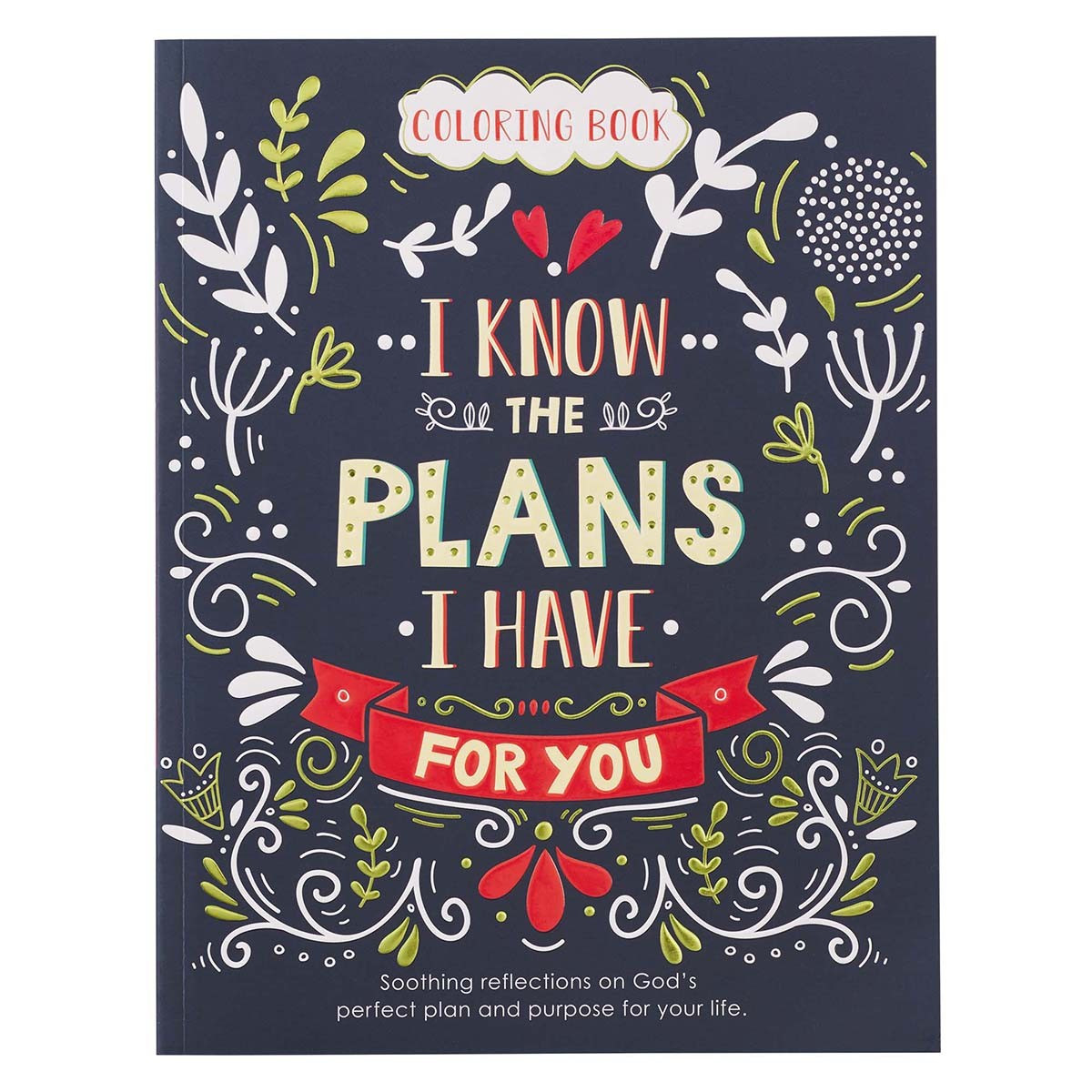 Jeremiah 29:11 Adult Coloring Book
