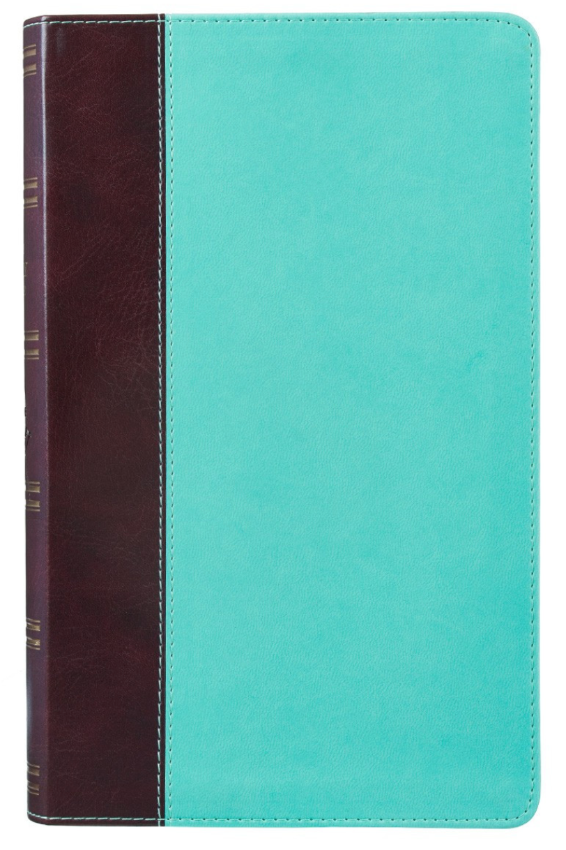 Brown and Turquoise Faux Leather Bible