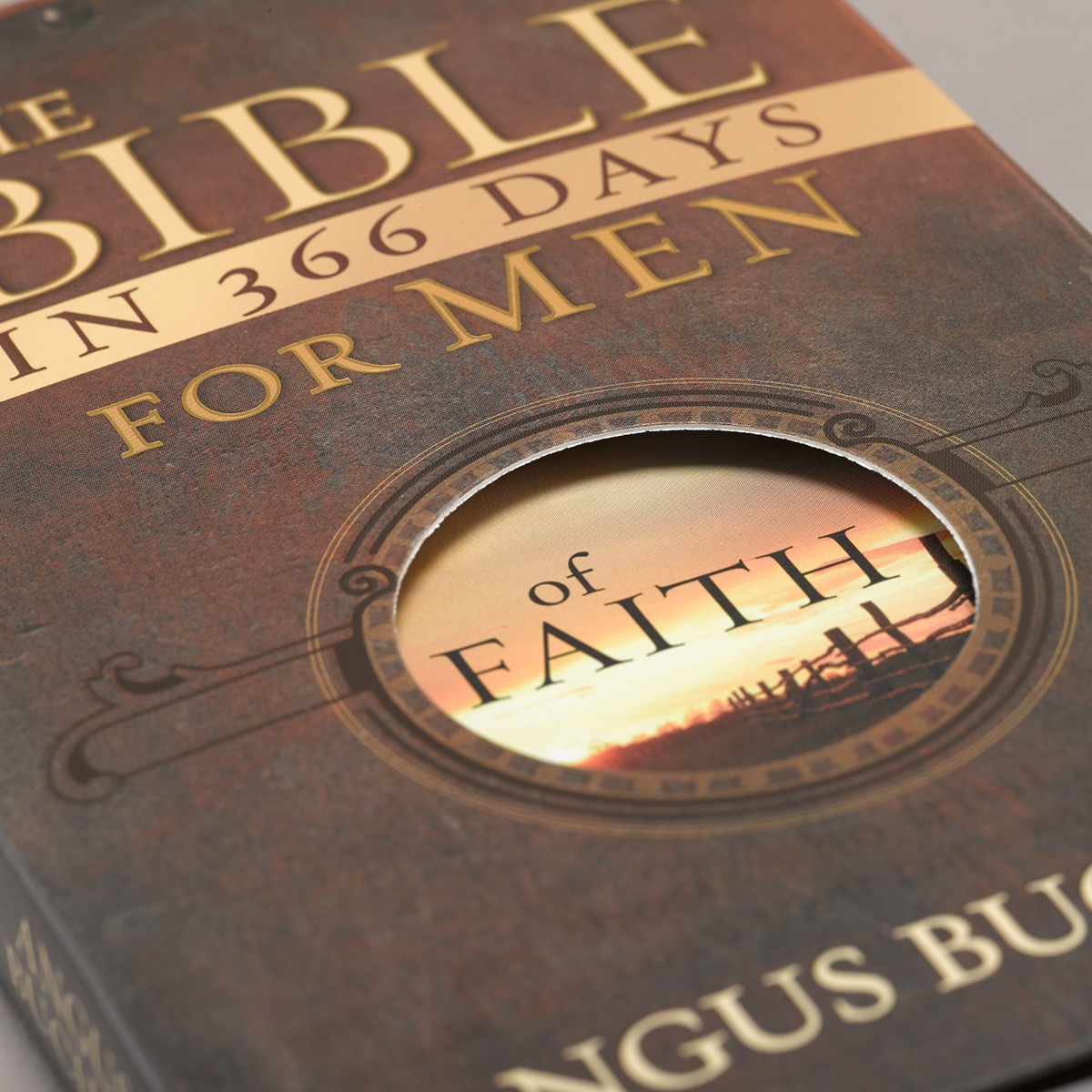 The Bible in 366 Days for Men